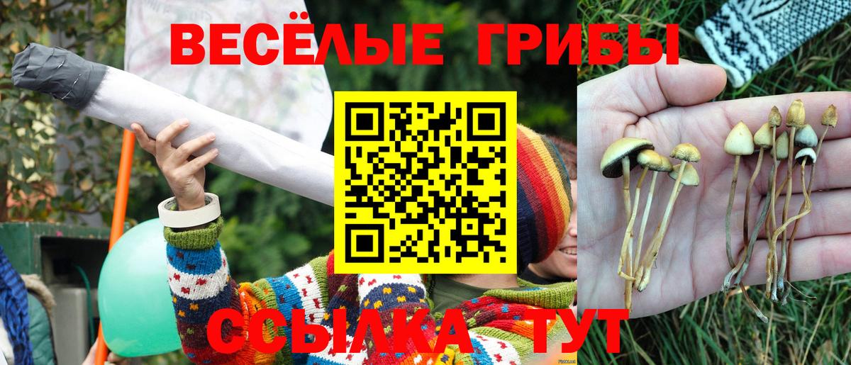 Псилоцибиновые грибы GOLDEN TEACHER  как найти наркотики  Балабаново  Вход с VPN 